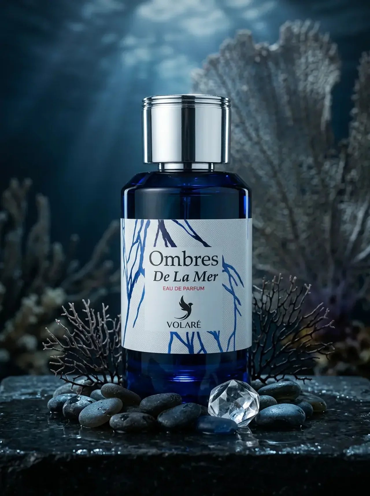 Volare Ombres De La Mer